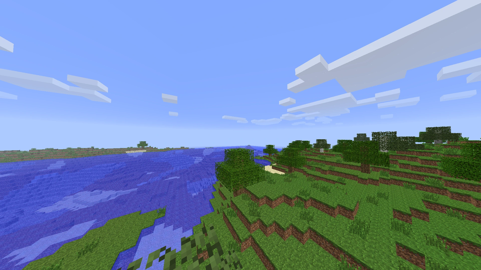 Minecraft landscape with trees and ocean